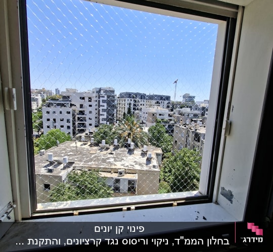 חלון עם רשת נגד יונים ונוף עירוני